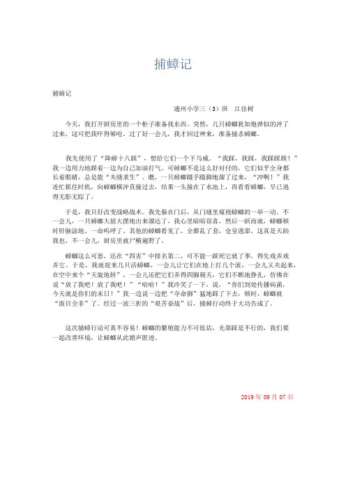 小学记叙文 捕蟑记-精品