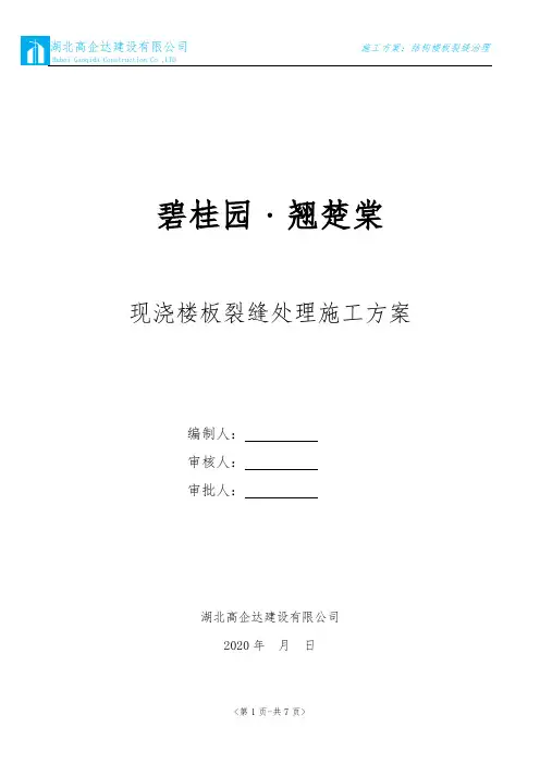 施工方案：结构楼板渗漏处理方案