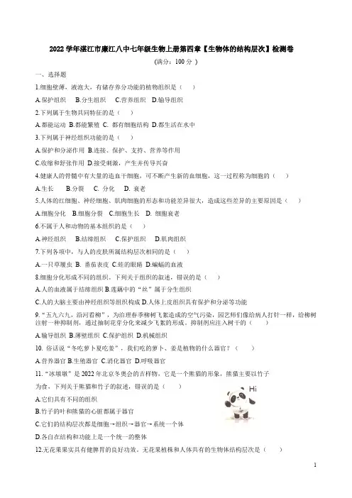 2022学年湛江市廉江八中七年级生物上册第四章【生物体的结构层次】检测卷附答案