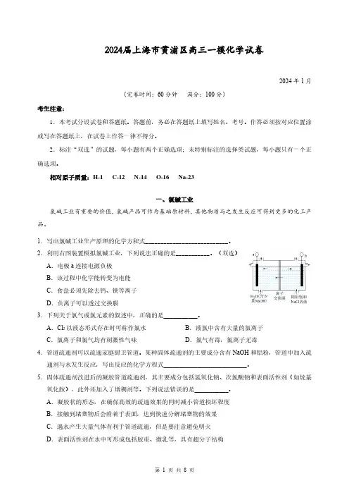 2024届上海市黄浦区高三一模化学试卷(含答案)