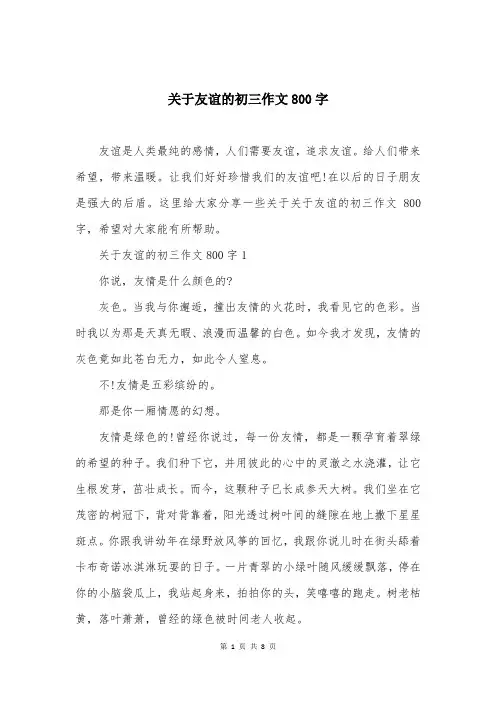 关于友谊的初三作文800字
