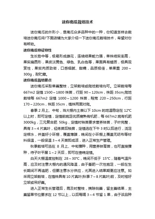 迷你南瓜栽培技术
