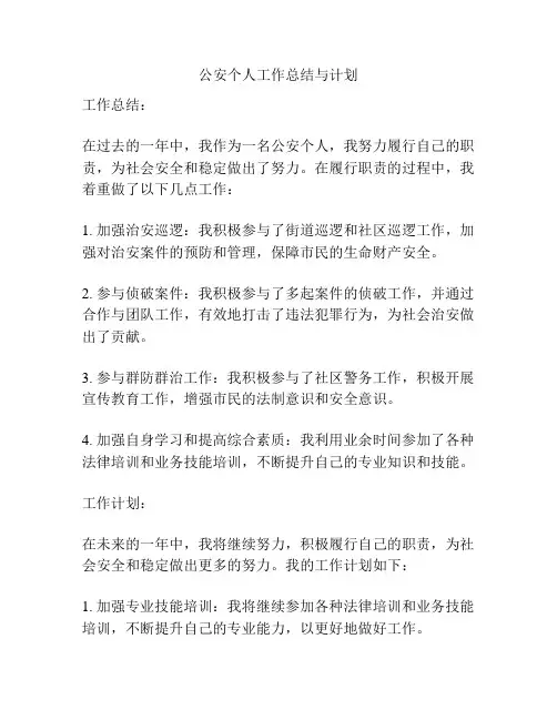 公安个人工作总结与计划