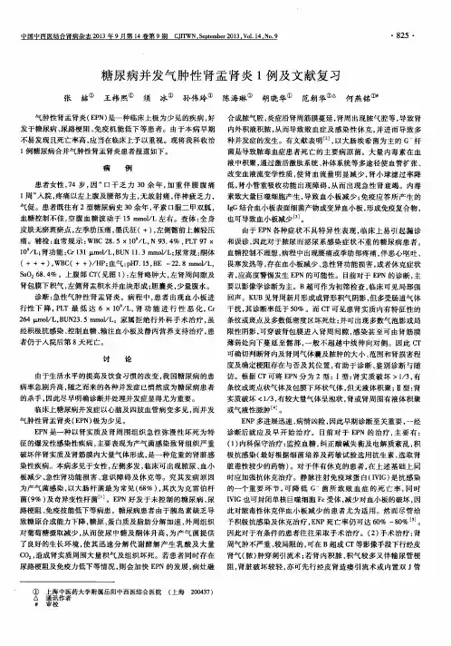 糖尿病并发气肿性肾盂肾炎1例及文献复习