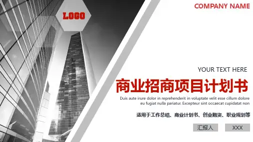 新建中学建设项目计划书ppt