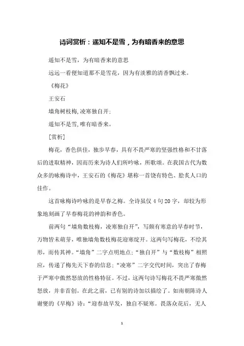 诗词赏析：遥知不是雪,为有暗香来的意思