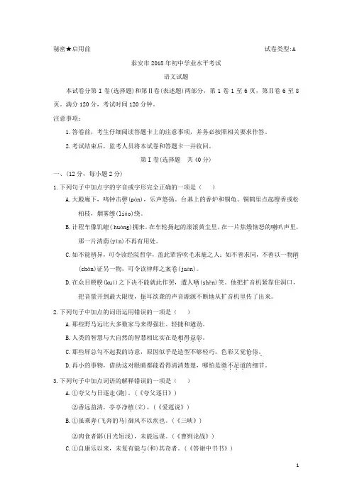 山东省泰安市2018年初中学业水平考试语文试题及答案(中考)