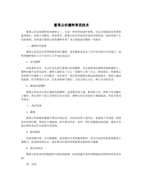 紫果云杉播种育苗技术