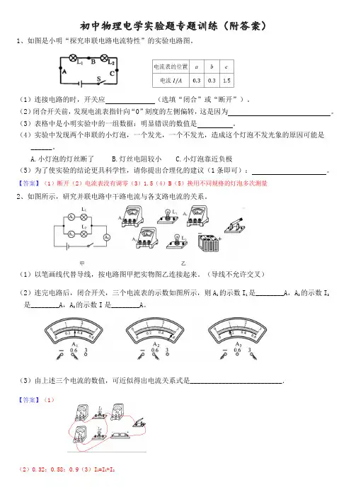 初中物理电学实验题专题训练(带答案)