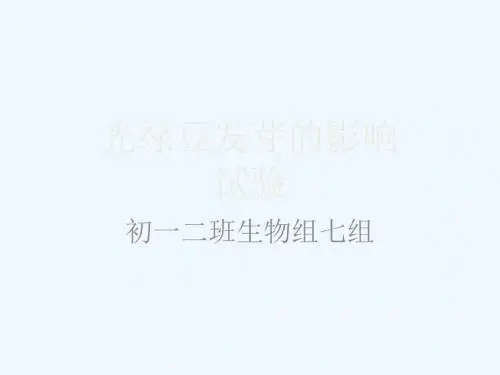 光对绿豆发芽影响试验报告