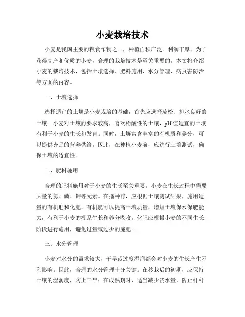 小麦栽培技术