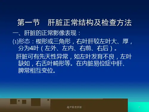 超声检查肝脏课件