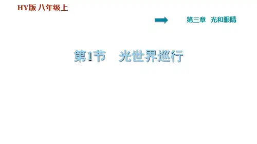 3.1 光世界巡行—2020秋 沪粤版八年级物理上册习题课件(共40张PPT)