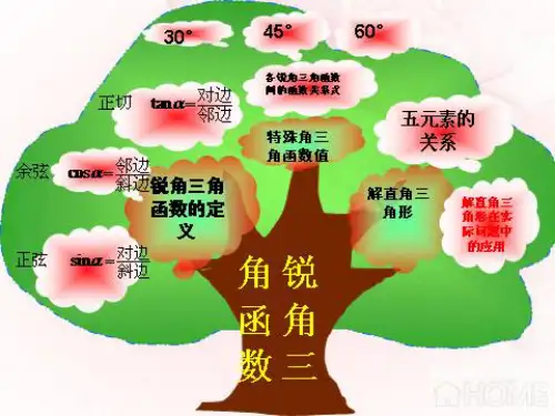 锐角三角函数说课课件