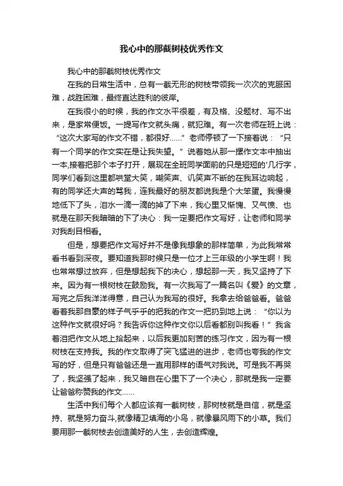 我心中的那截树枝优秀作文