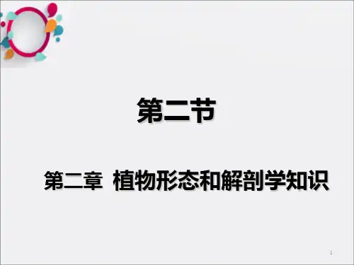 植物形态和解剖学知识_OK