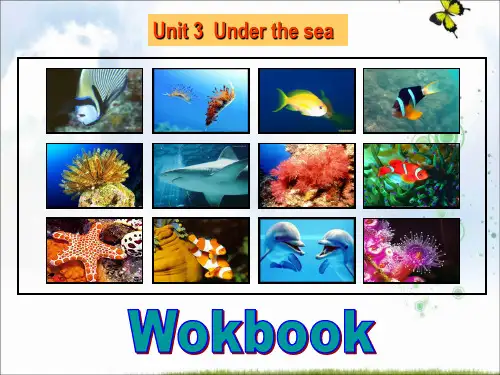人教版高中英语选修七课件：Unit+3+Under+the+sea+Workbook