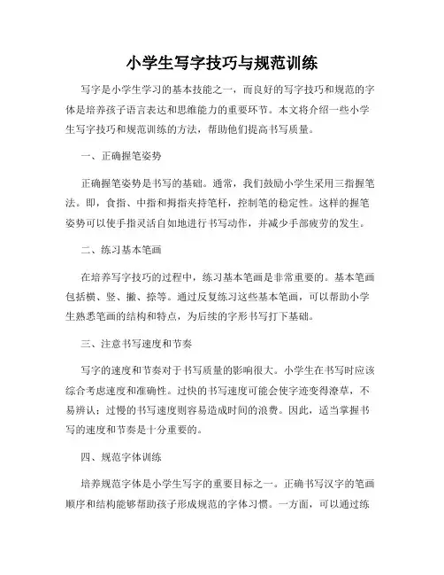 小学生写字技巧与规范训练