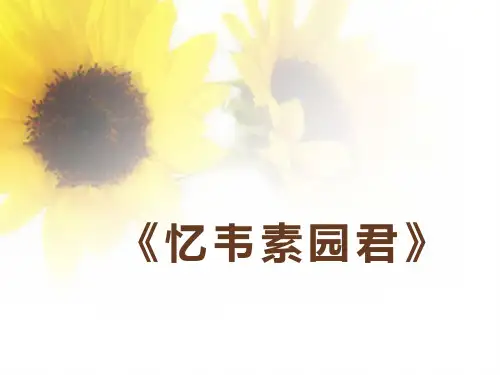 忆韦素园君