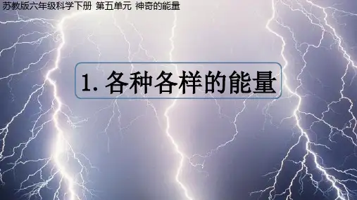 《各种各样的能量》课件