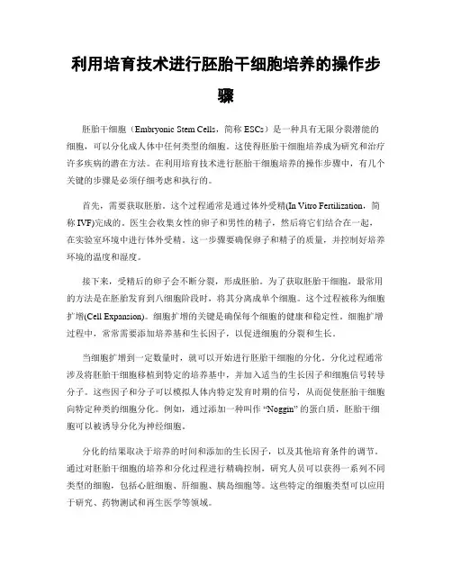 利用培育技术进行胚胎干细胞培养的操作步骤