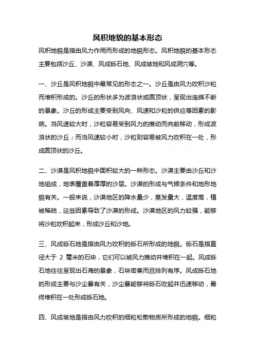 风积地貌的基本形态