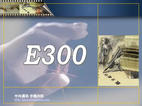 6-第三部分：E300网管