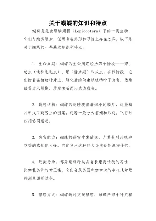 关于蝴蝶的知识和特点