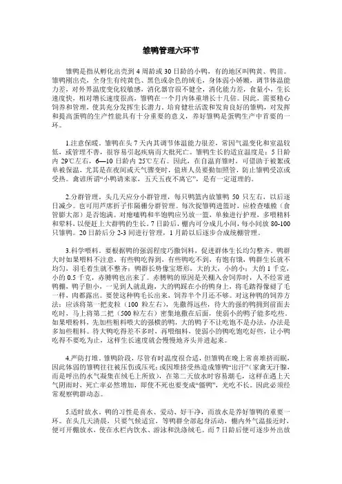 雏鸭管理六环节