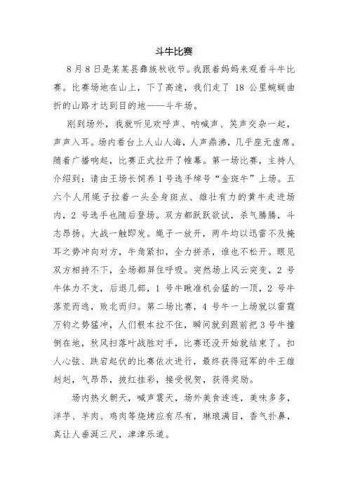 斗牛比赛(小学范文)