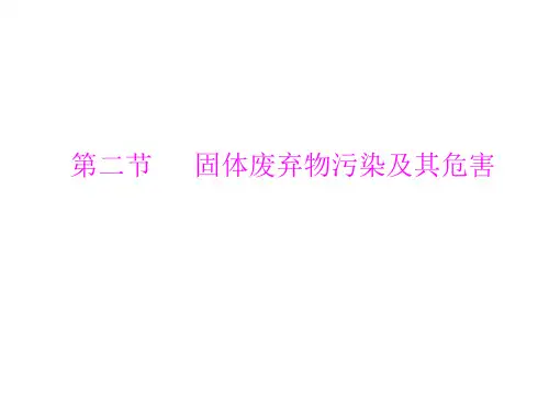 固体废弃物污染和其危害