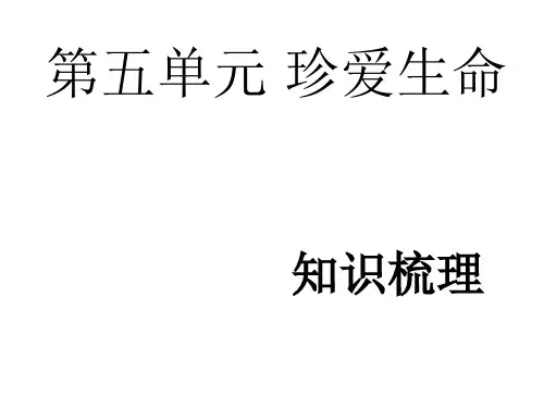 七年级政治珍爱生命(教学课件201911)