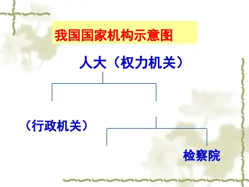 政治《政府的职能管理与服务》(新人教版必修2)精品PPT课件
