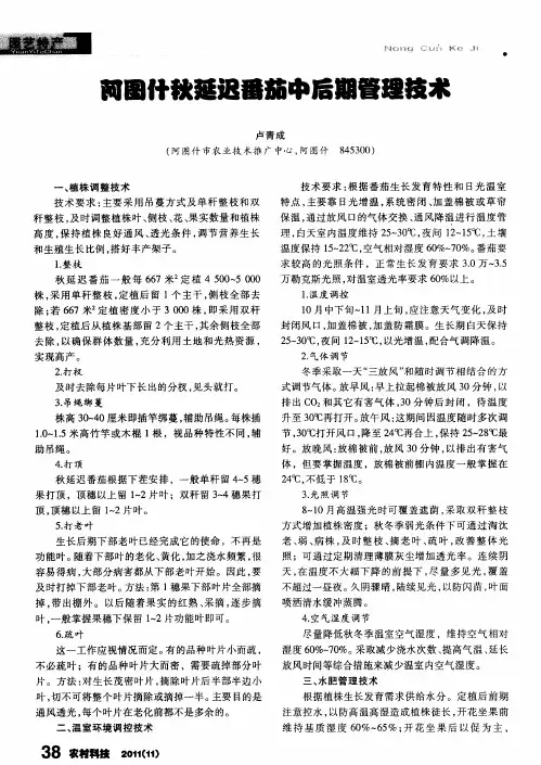 阿图什秋延迟番茄中后期管理技术