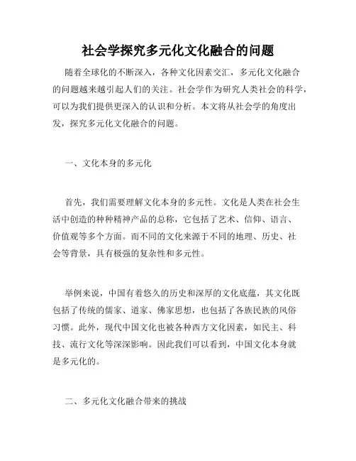社会学探究多元化文化融合的问题