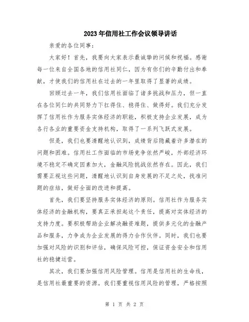 2023年信用社工作会议领导讲话