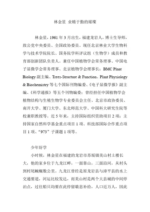 林金星 业精于勤的璀璨