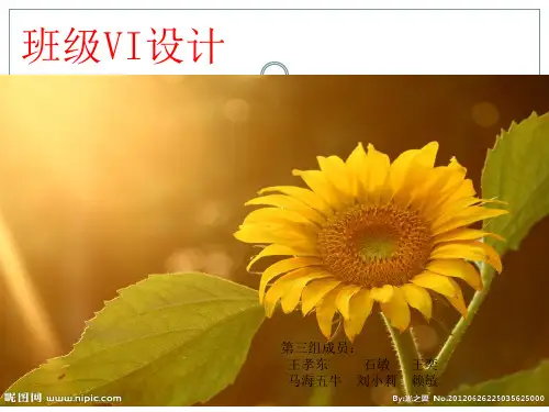 第三组--班徽