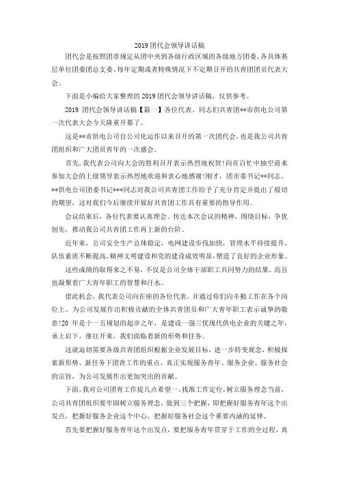 演讲材料-2019团代会领导讲话稿 精品