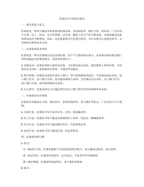 柱塞泵可行性研究报告