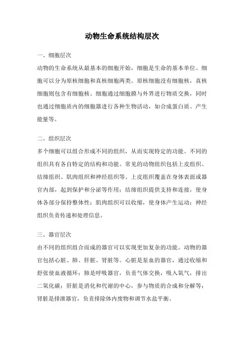 动物生命系统结构层次