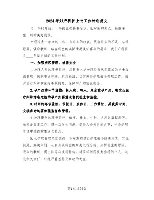 2024年妇产科护士长工作计划范文(7篇)