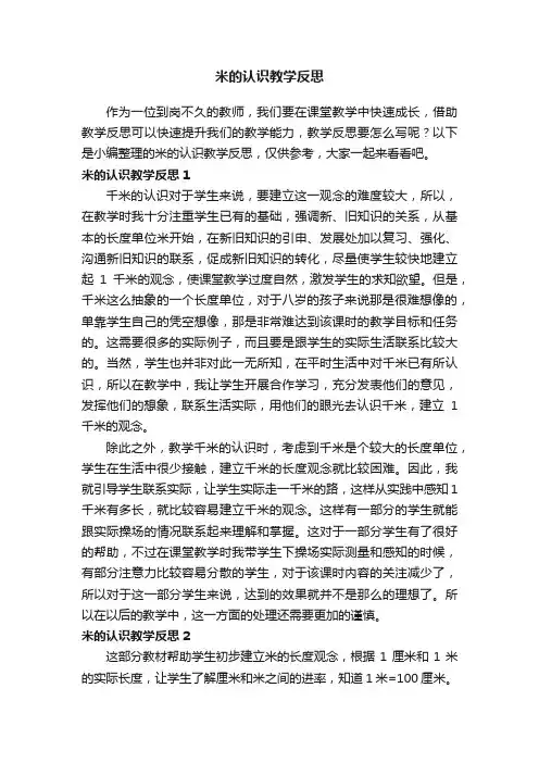 米的认识教学反思