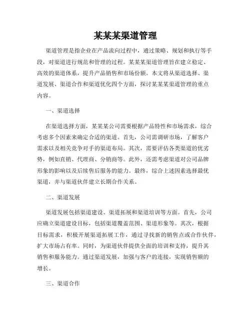 某某某渠道管理