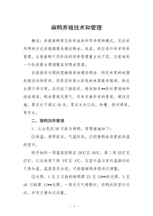 麻鸭养殖技术和管理