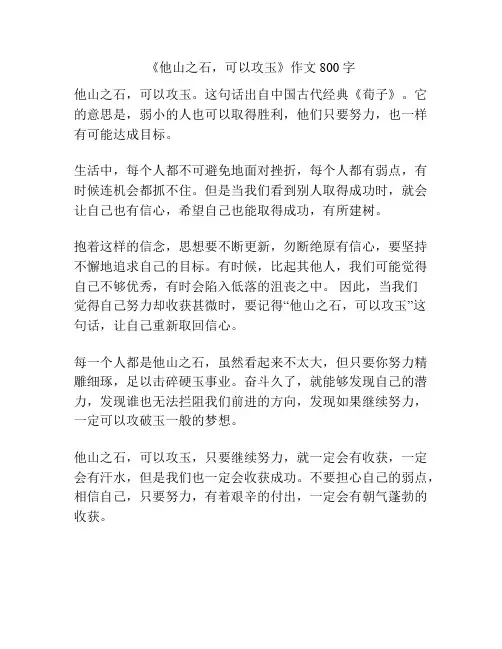 《他山之石,可以攻玉》作文800字