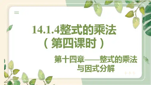 14.1.4 整式的乘法(第4课时) 初中数学人教版八年级上册教学课件(共25张PPT)