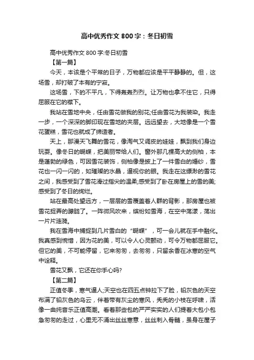 高中优秀作文800字：冬日初雪