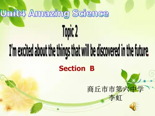 仁爱英语九年级英语上Unit 4 Topic 2 Section B 教学课件共18张PPT含视频及音频