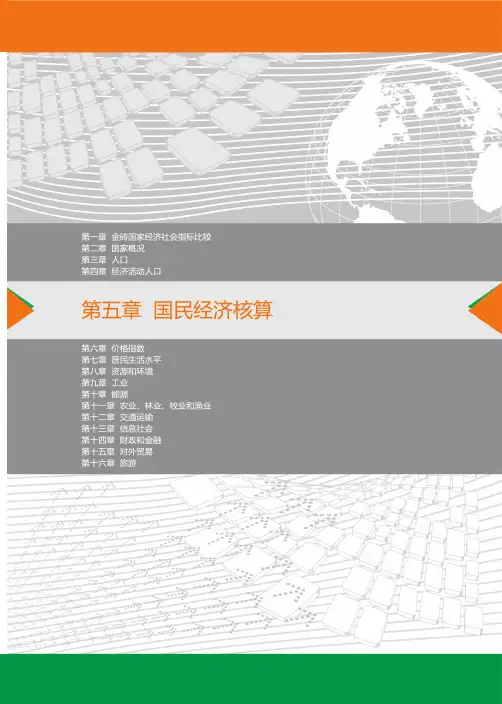 金砖国家联合统计手册()第五章国民经济核算